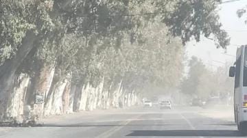 Alerta por viento Zonda: fuertes ráfagas para este jueves en San Juan