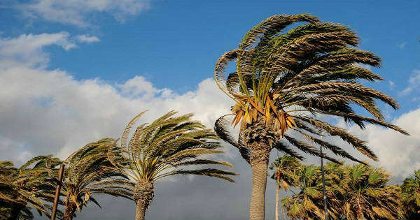 Alerta amarilla por fuertes vientos para este sábado en San Juan