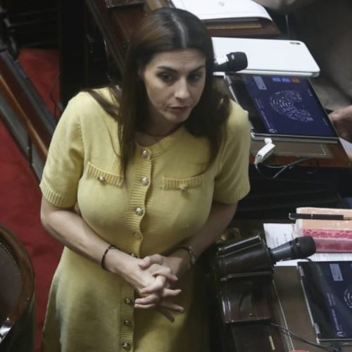 Zago, Pagano, los misioneros y tres bullrichistas se suman al rechazo contra los vetos de Milei