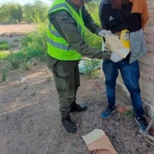 Gran operativo antidrogas, detuvieron un narcotraficante que traía sustancias para entregar en 25 de Mayo, 9 de Julio y Caucete