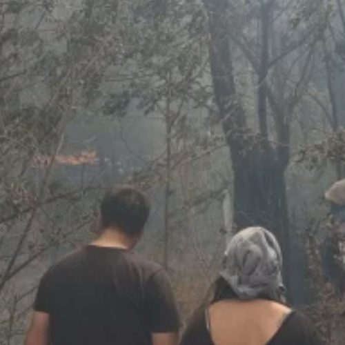 Las Flores: un incendio arrasó con dos viviendas y dejó varias familias afectadas