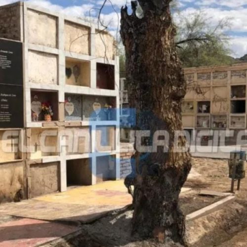 Caucete: El descuido que existe en el cementerio es mucho, se prendieron fuego árboles y quemaron unos nichos