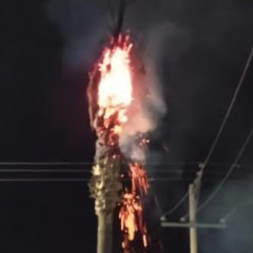 Explosión de pirotecnia desencadenó un incendio en una palmera