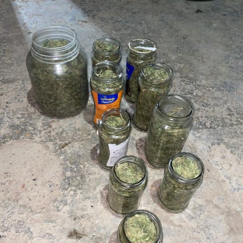 Fueron en busca de elementos robados en Chacritas y se toparon con una venta de droga masiva