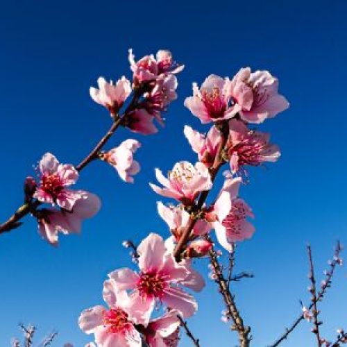 Se espera un jueves con temperatura primaveral