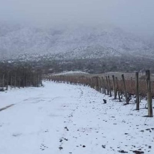 Temporal de Santa Rosa: estos son los departamentos en alerta por nevadas