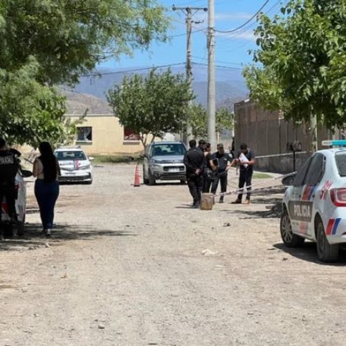Tragedia en Rivadavia: una nena perdió la vida luego de que se le cayera un portón encima