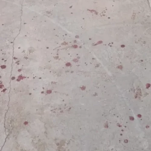 Un cumpleaños de 15 en La Bebida, terminó en una violenta pelea familiar