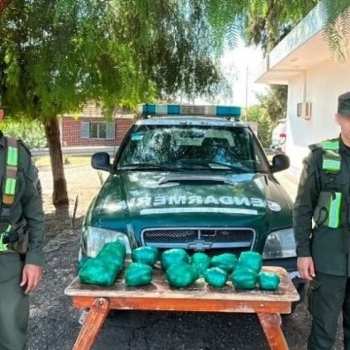 Incautaron 2,5 kilos de hoja de coca en un colectivo que debía atravesar San Juan