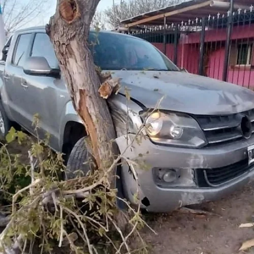 Murió la mujer que fue atropellada mientras esperaba el colectivo
