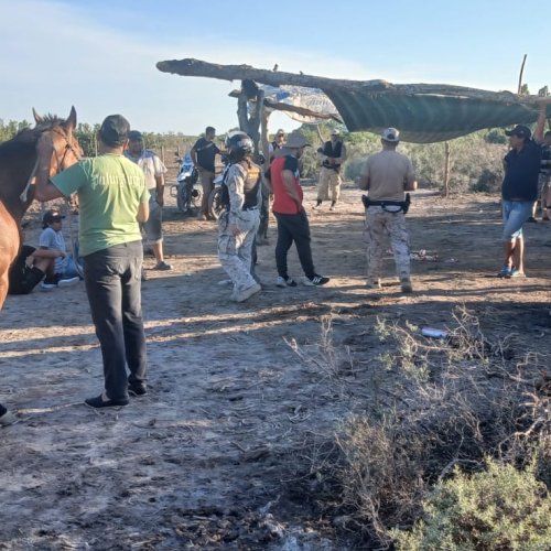 Carreras ilegales de caballos en Albardón, Caucete y Sarmiento