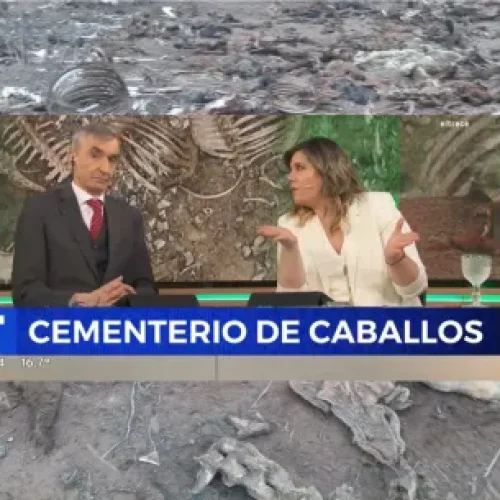 Cementerio de caballos en San Juan llegó a la TV nacional