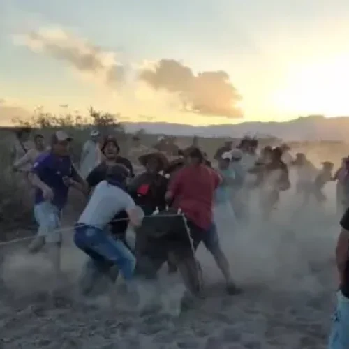 Carrera ilegal de caballos terminó a las piñas entre los participantes
