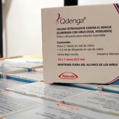 Llegaron a San Juan las vacunas contra el dengue