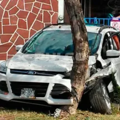 En Pocito, se robaron un auto y lo chocaron contra un árbol