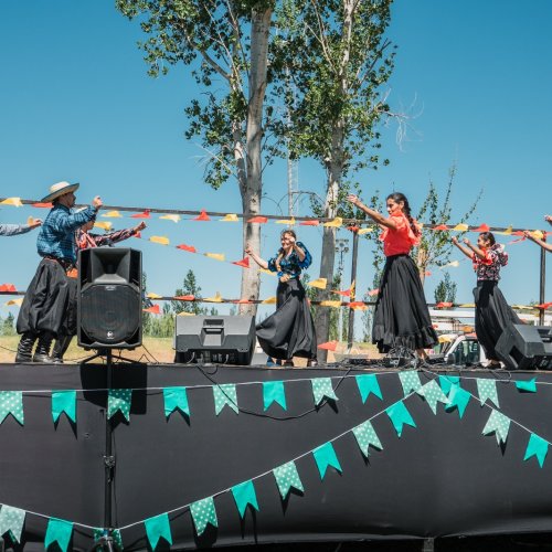 El sabor de Médano de Oro vuelve a ser protagonista: llega la Fiesta del Espárrago y el Alcaucil 2026