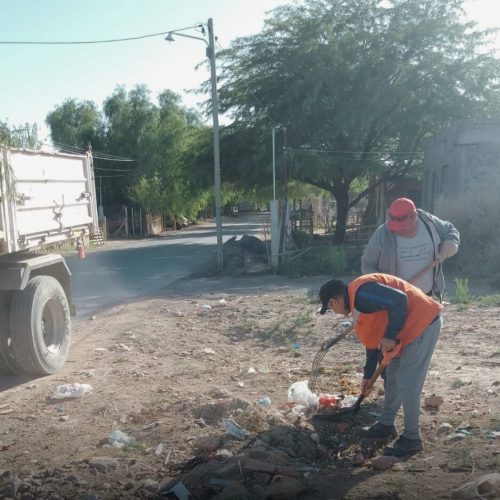 Se percibía un mal olor y empleados municipales descubrieron de donde nacía el mismo, Mira el video!!!