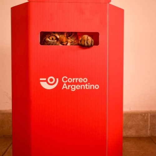 Al fin se fue el correo argentino de 9 de Julio y varios departamentos de la provincia