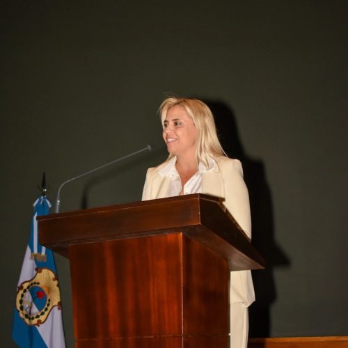 La diputada nacional Nancy Picón en diálogo con Noticias Ya!!!  Nos describió la Ley no aprobada aún de Ficha Limpia