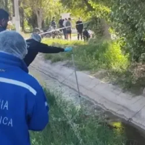 La madre del concejal plaza cayo a un canal en 25 de mayo y falleció