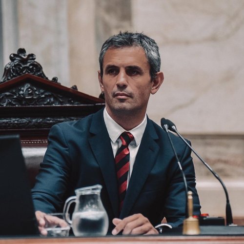 Menem admite que está complicado conseguir los votos para eliminar las PASO