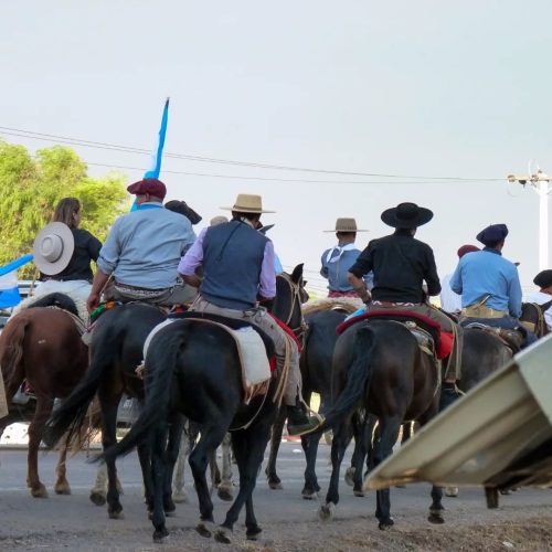 Cayó un caballo de un camión y lo dejaron tirado al costado de la ruta “Cabalgata de la Fe”