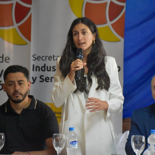 Dialogamos con Luciana Cuk directora de Empleo y Formación dependiente, sobre los cursos que lanzo el Ministerio de la Producción