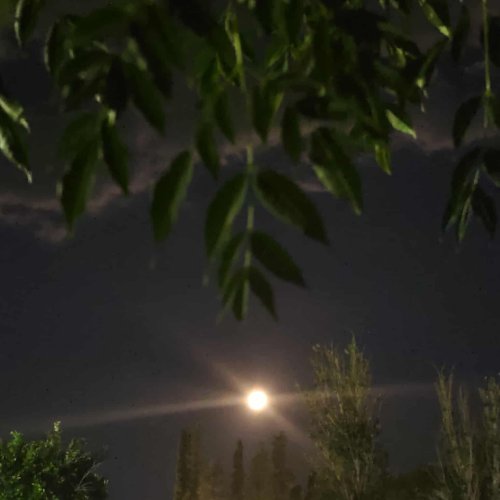 Comienza una semana con temperaturas cálidas