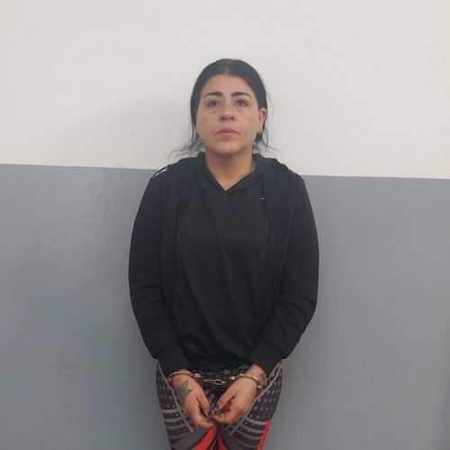 Detuvieron a una ladrona de mucha experiencia  más de 75 robos de su autoria