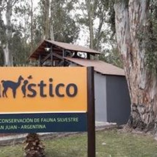 De aprobarse el proyecto que declara a los animales “seres sintientes”: ¿qué pasará con el Parque Faunistico?