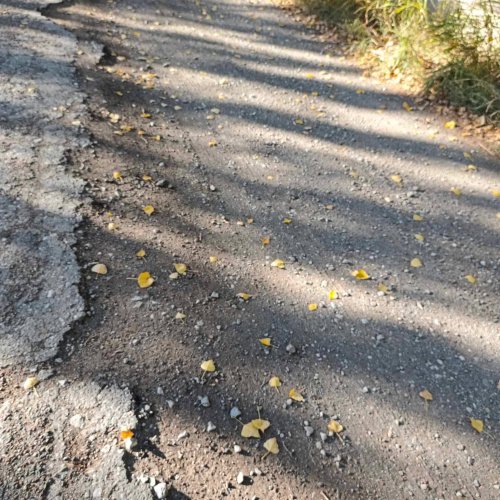 9 de Julio calle Begueri La Majadita, imposible transitar por ella
