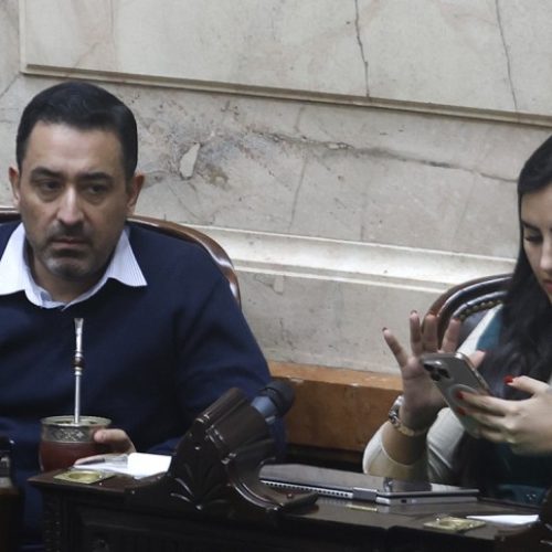 Alarma total en la Rosada: el ex gobernador Herrera Ahuad le pidió a los misioneros que rechacen los vetos de Milei