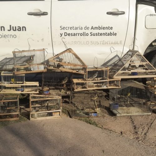 San Juan prohíbe los tramperos con penas de arresto y multas
