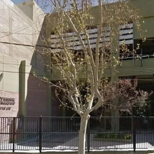 Milei despide trabajadores de INV La medida dejó en disponibilidad a 49 trabajadores de planta permanente. La medida golpea de lleno a Mendoza, donde se concentra el 98% del personal.