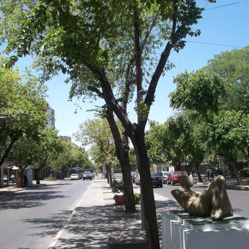 El Gobierno anunció que pavimentarán la Avenida Libertador
