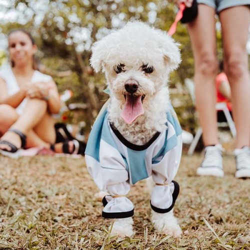 Santa Lucía prepara un desfile de mascotas para disfrutar en familia