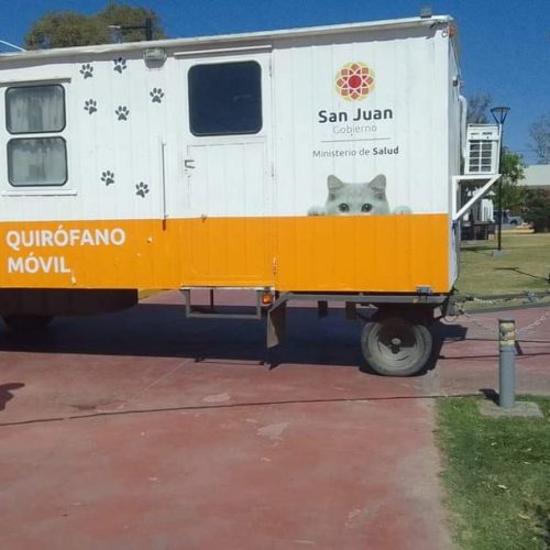 El quirófano móvil de mascotas de Salud Pública en Sarmiento