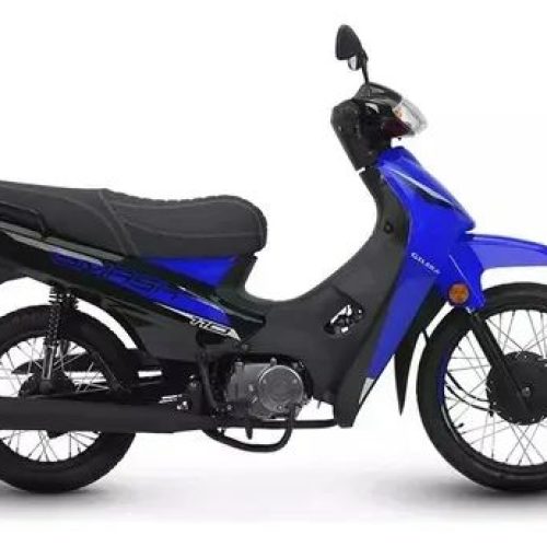 Robaron una moto en La Majadita