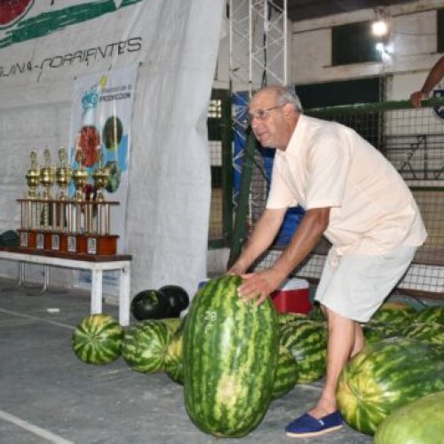 Rompe récord con una sandía monstruosa de 41,8 kilos