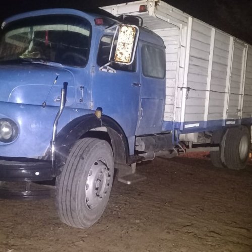 Camionero reincidente transportaba 250 estacones de una especie protegida