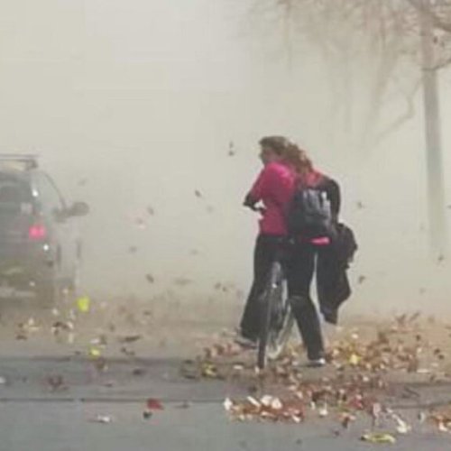 Se suspenden las clases por viento Zonda