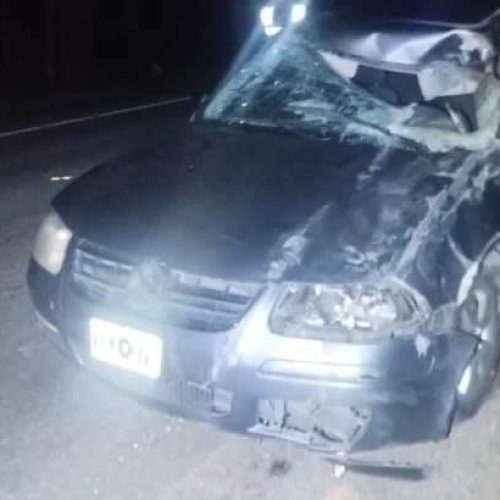 5 personas que iban en un auto chocaron contra un caballo