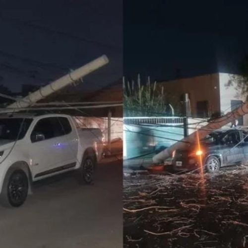 Dos autos destruidos por postes que cayeron en Rivadavia