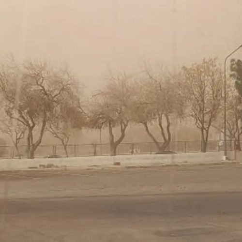 Alerta: Viento Zonda