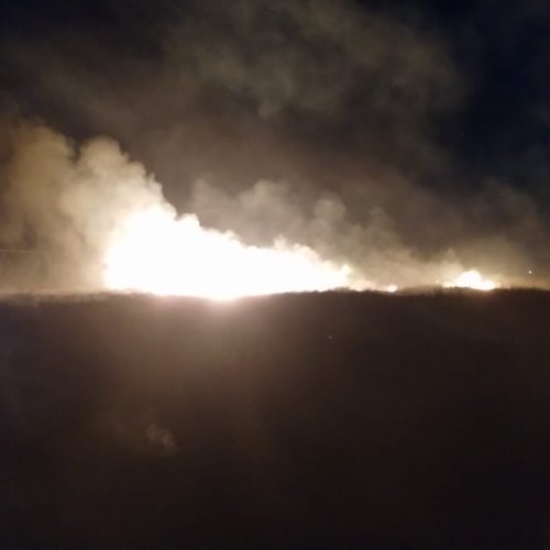 INCENDIOS provocados por el viento Zonda