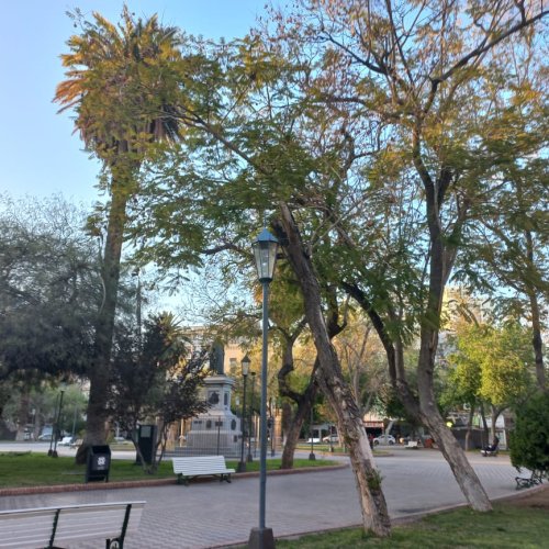 Enterate cómo va a estar el clima este viernes