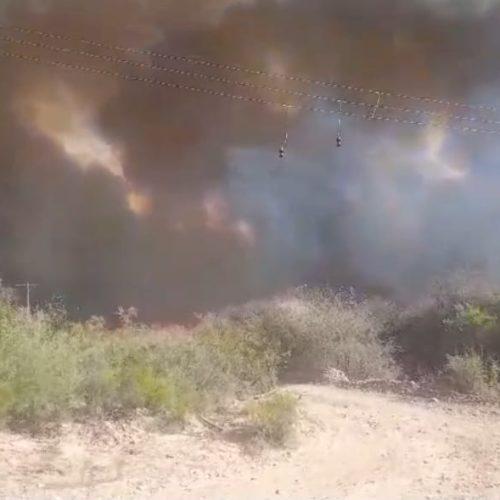 Incendio forestal afectó vegetación y fauna en Valle Fértil