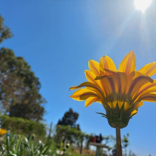 Miércoles con 33°: un día para disfrutar