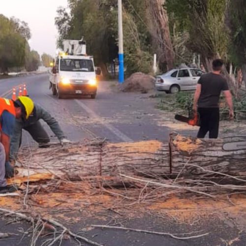 La Municipalidad de 9 de Julio, montó un operativo de liberación de arterias departamentales