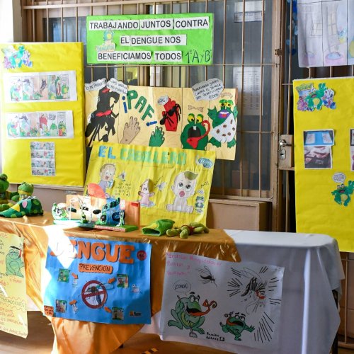 Alumnos de toda la provincia expusieron trabajos sobre la campaña de dengue